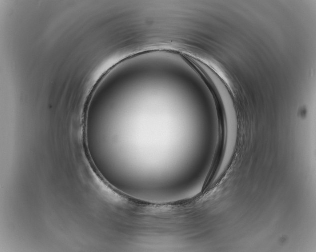 X0000091931143200709051456