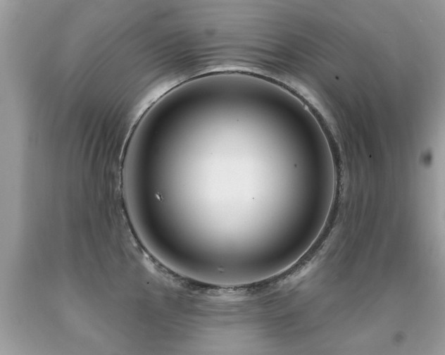 X0000091931145200709051456