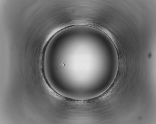 X0000091931147200709051456