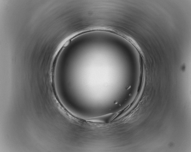 X0000091931148200709051456