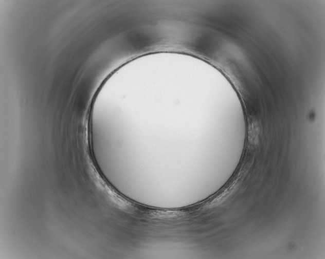 X0000091931150200709051456