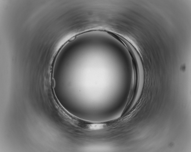 X0000091931151200709051456