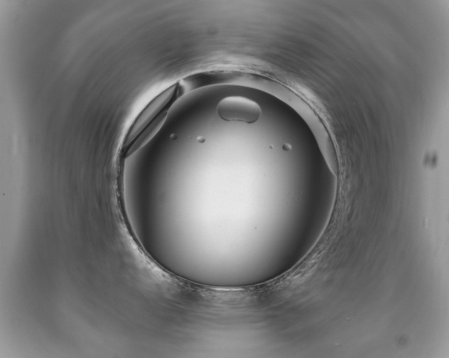 X0000091931152200709051456