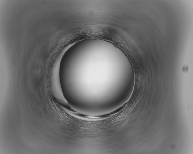 X0000091931153200709051455