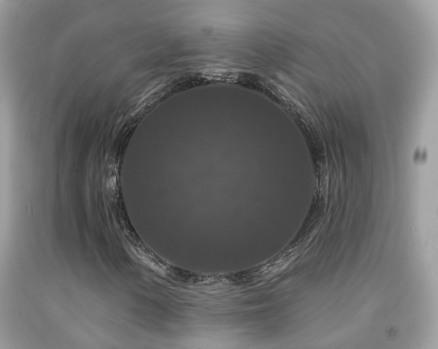 X0000091931154200709051455