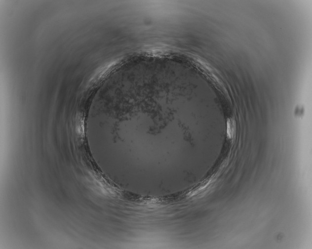 X0000091931155200709051455