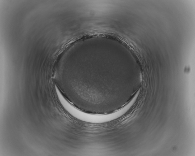 X0000091931156200709051455