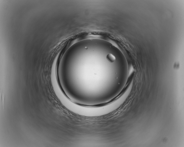 X0000091931157200709051455