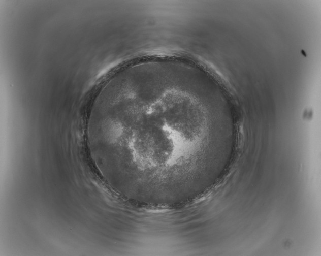 X0000091931158200709051455