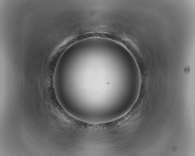 X0000091931159200709051455