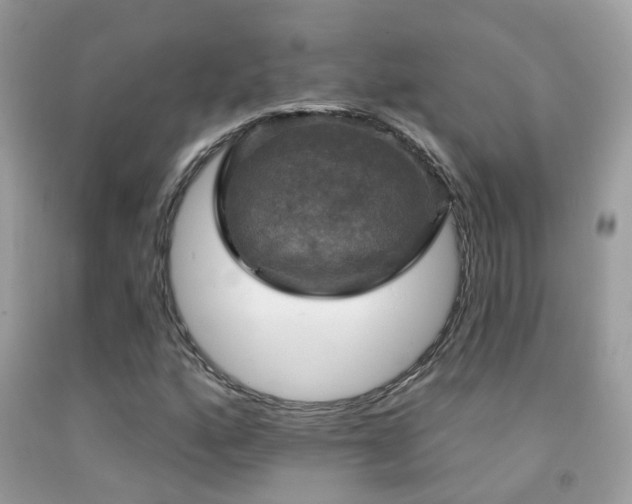 X0000091931160200709051455