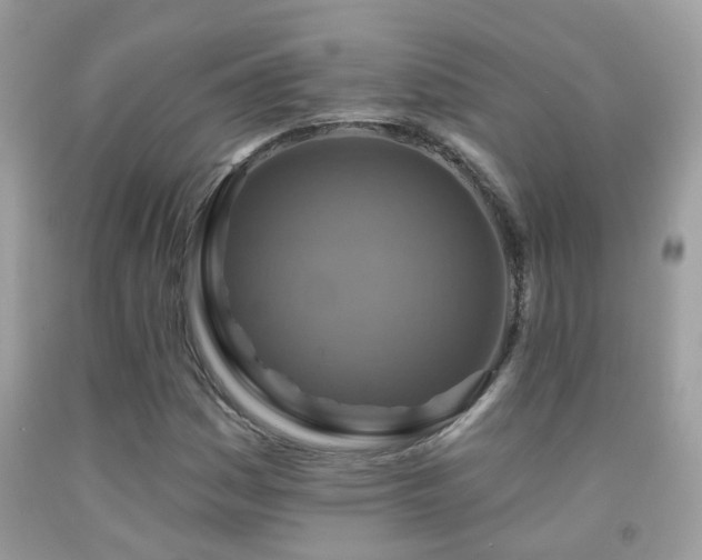 X0000091931161200709051455