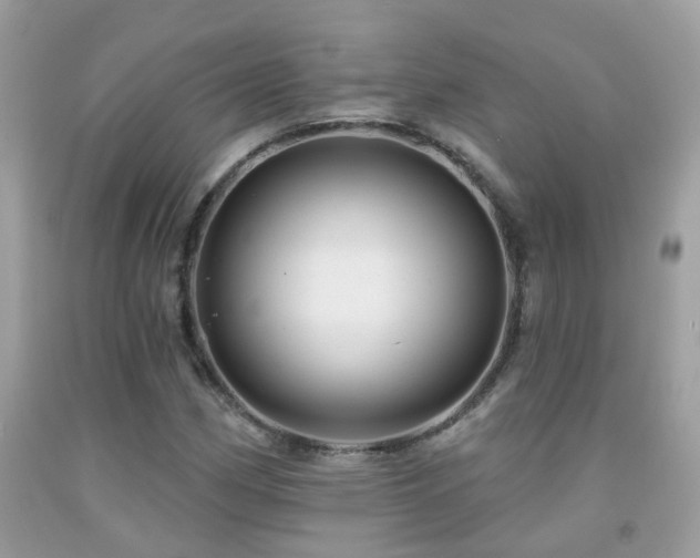 X0000091931162200709051455