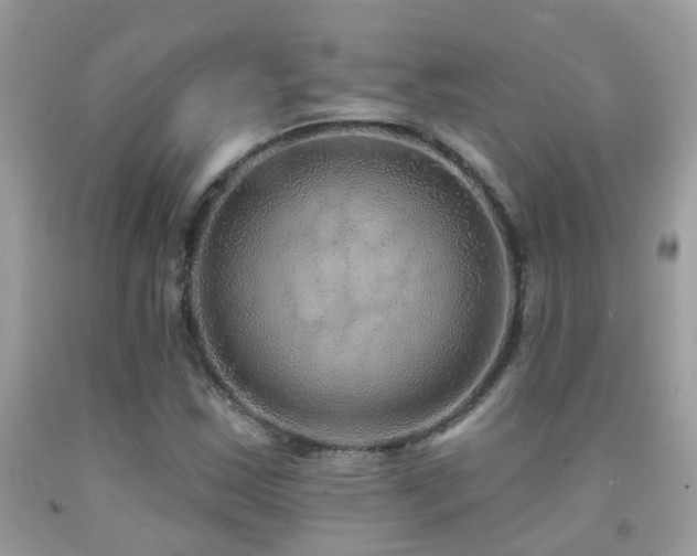 X0000091931163200709051455