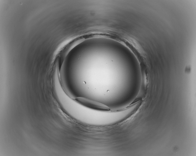 X0000091931164200709051455