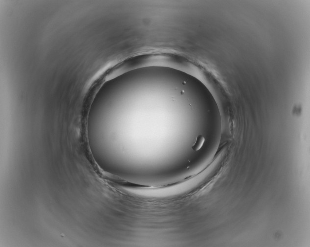 X0000091931165200709051455