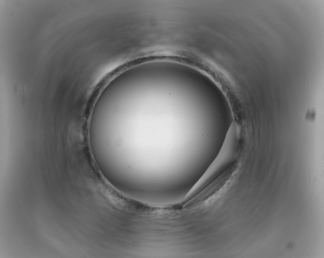 X0000091931166200709051455