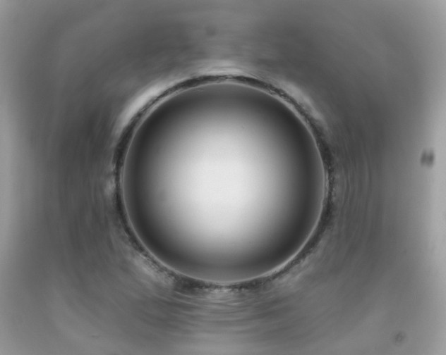 X0000091931167200709051455