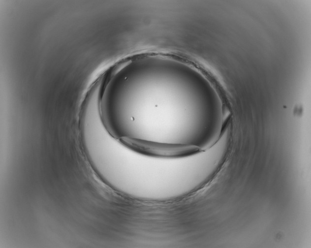 X0000091931168200709051455