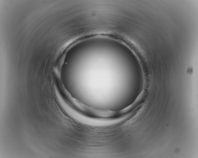 X0000091931169200709051455