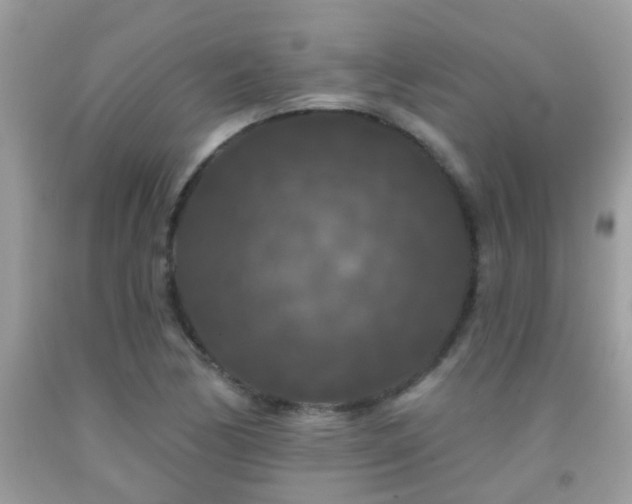 X0000091931170200709051455