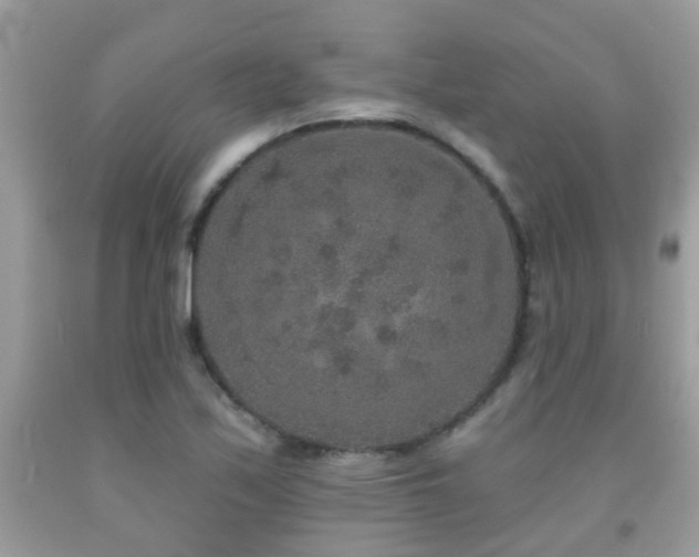 X0000091931171200709051455