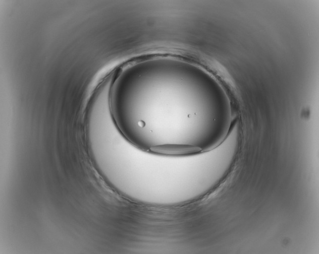 X0000091931172200709051455