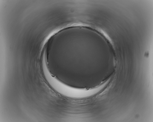 X0000091931173200709051455