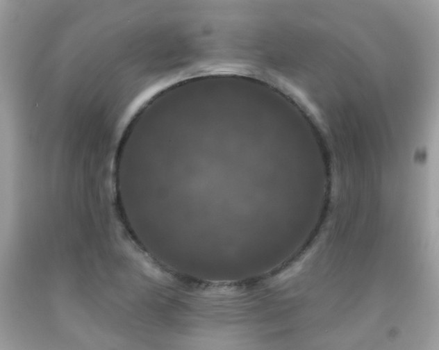 X0000091931174200709051455