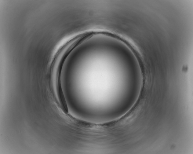 X0000091931175200709051455