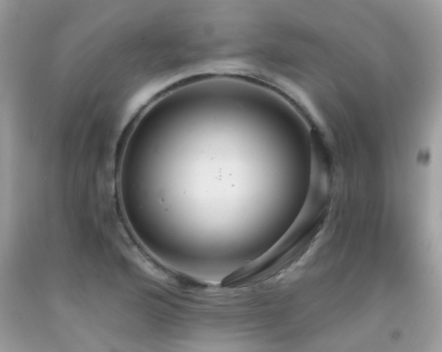 X0000091931176200709051455