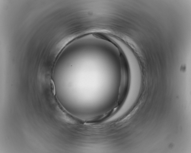 X0000091931177200709051455