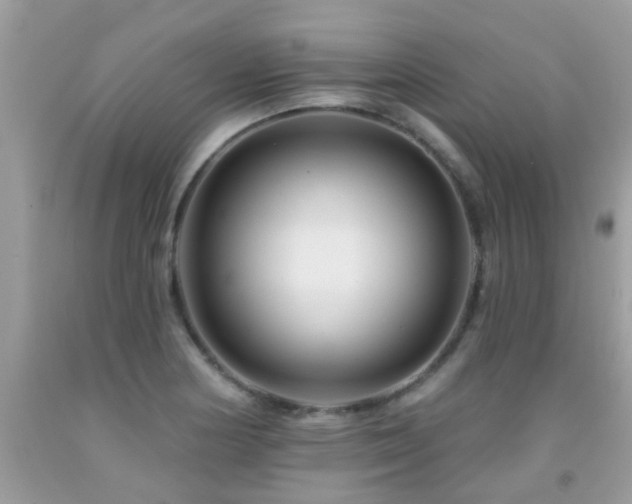 X0000091931178200709051455