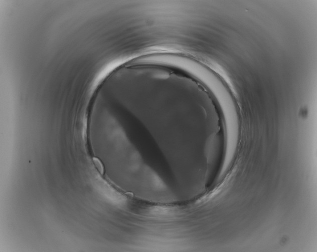 X0000091931179200709051455