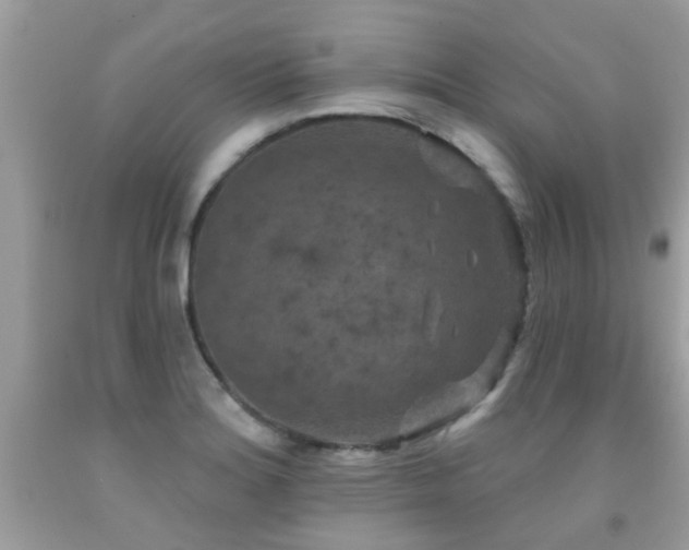 X0000091931180200709051455