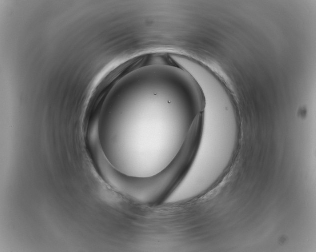 X0000091931181200709051455