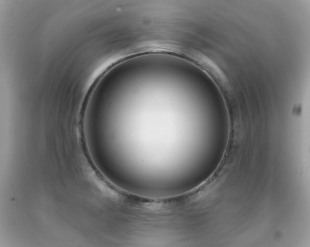 X0000091931182200709051455
