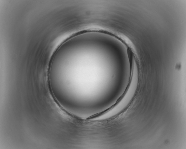 X0000091931183200709051455