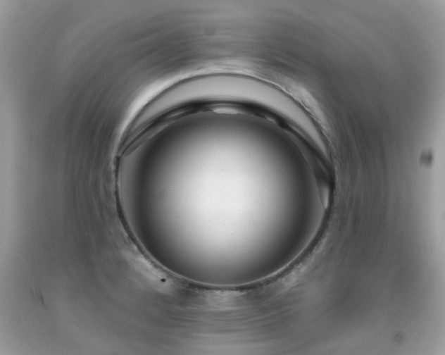 X0000091931184200709051455