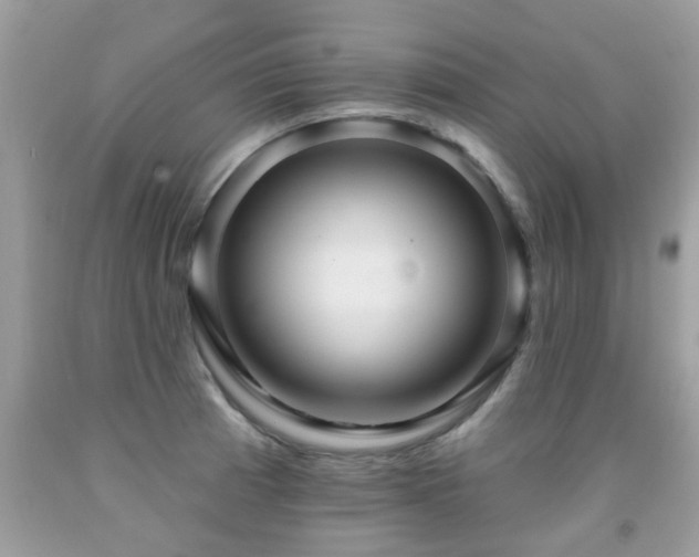 X0000091931185200709051455