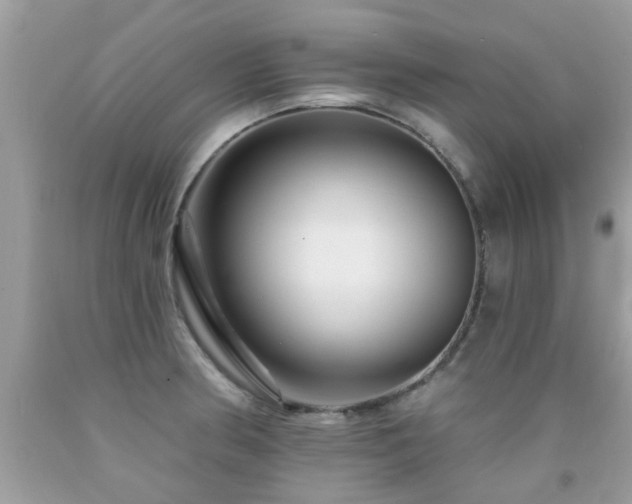 X0000091931186200709051455