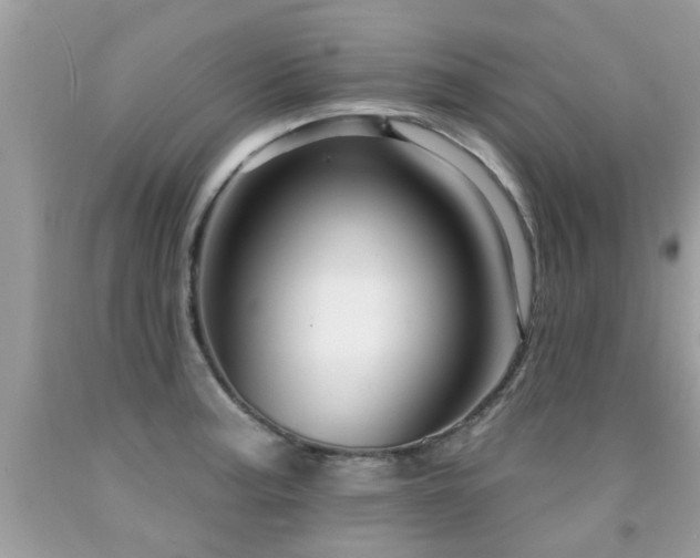 X0000091931187200709051455