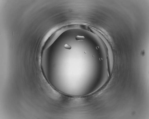 X0000091931188200709051455