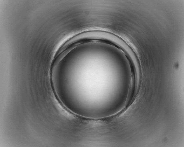 X0000091931189200709051455