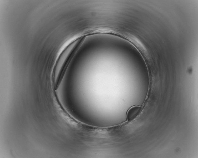 X0000091931190200709051455