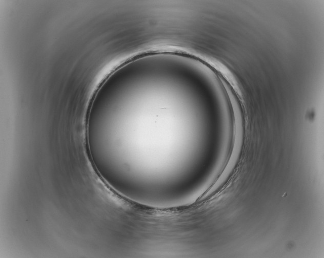 X0000091931191200709051455
