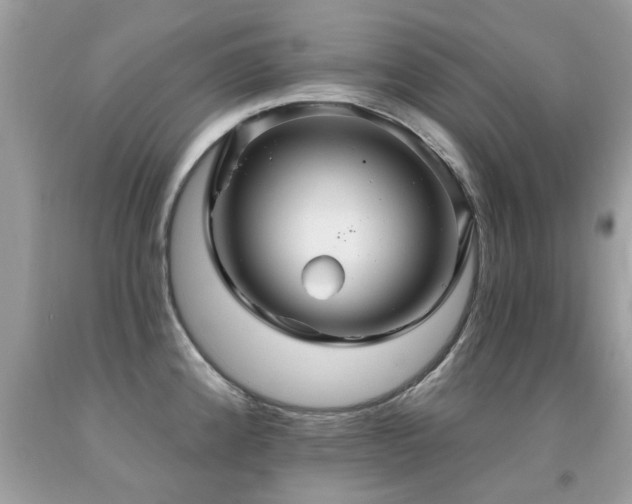 X0000091931192200709051455