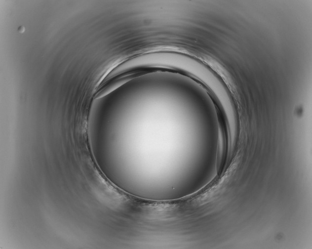X0000091931193200709051455