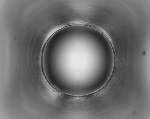 X0000091931195200709051455