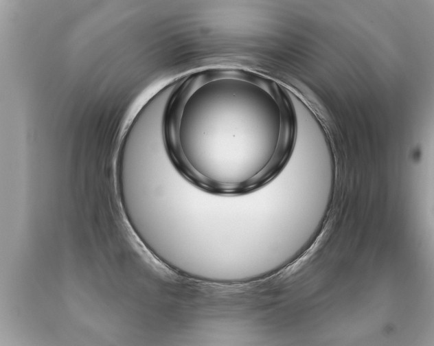 X0000091931196200709051455